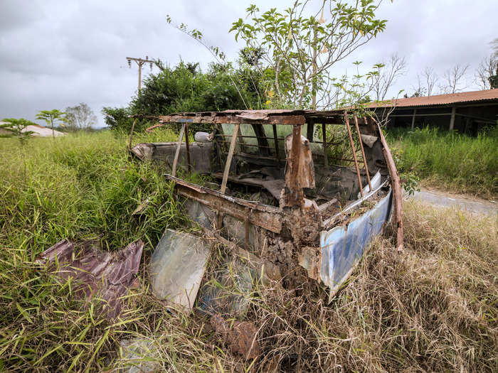 Cars have also rusted and succumbed to nature.