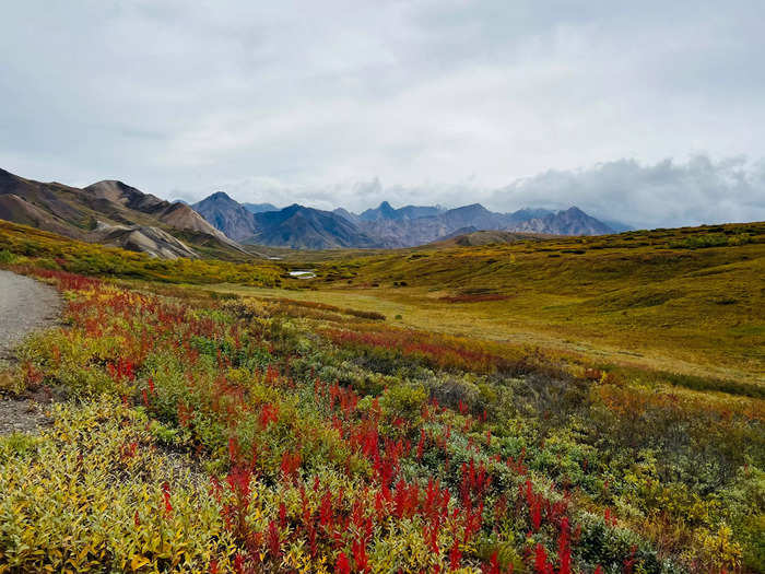 Denali National Park in Alaska has activities for every kind of traveler. 