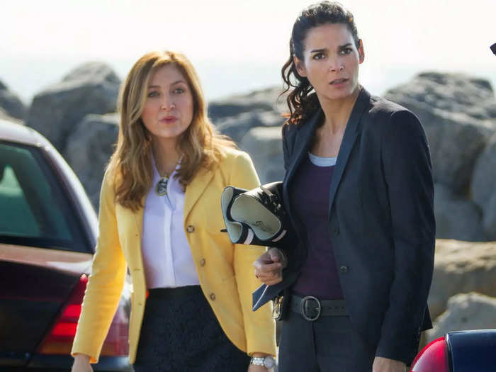 "Rizzoli & Isles" aired on TNT from 2010 to 2016 and focused on "best friends" Jane Rizzoli, a detective, and Maura Isles, a medical examiner.