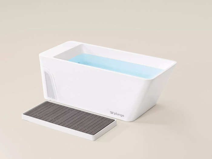 The ultimate wellness status symbol is cold-plunge tubs.