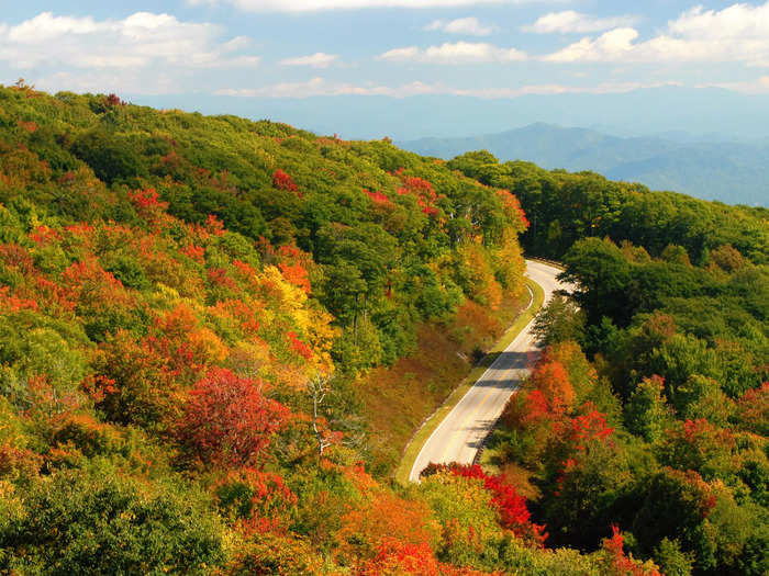 TENNESSEE: Tail of the Dragon