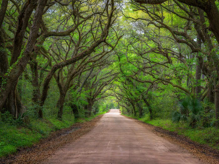 SOUTH CAROLINA: Botany Bay Boulevard