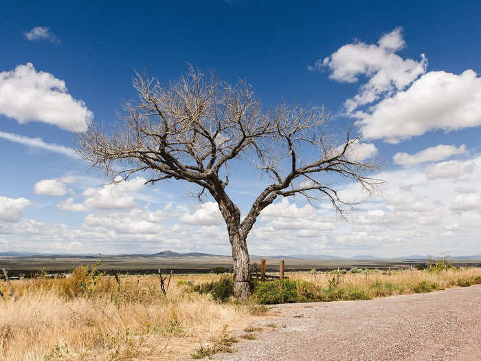 NEW MEXICO: The High Road To Taos