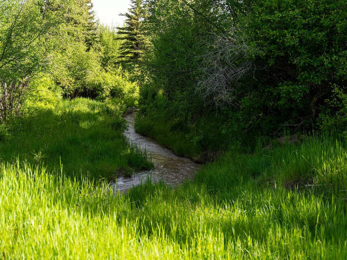 There are about 1,500 acres of irrigated land from the snowpack of the surrounding mountains that support the property.