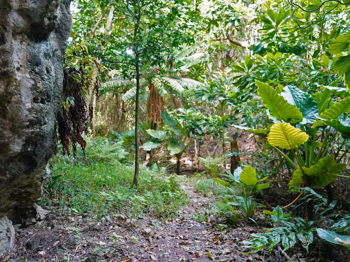 It used to be an ancient CHamoru village, but now Ritidian is a wildlife refuge.