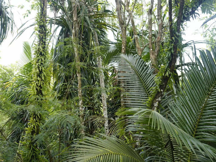 Guam only has two seasons — wet and dry — and it has a tropical marine climate.