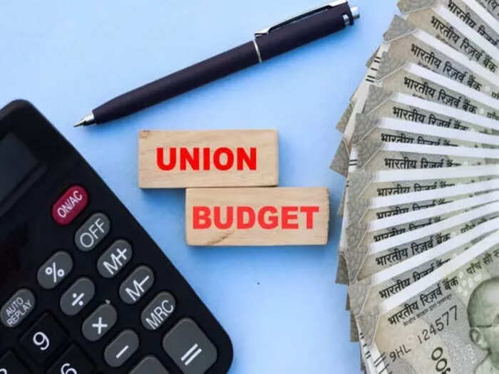 Budget size almost unchanged from interim, shows govt's commitment to