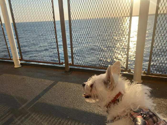 I thought taking ferries was a great way to travel, especially with two little kids and a dog.