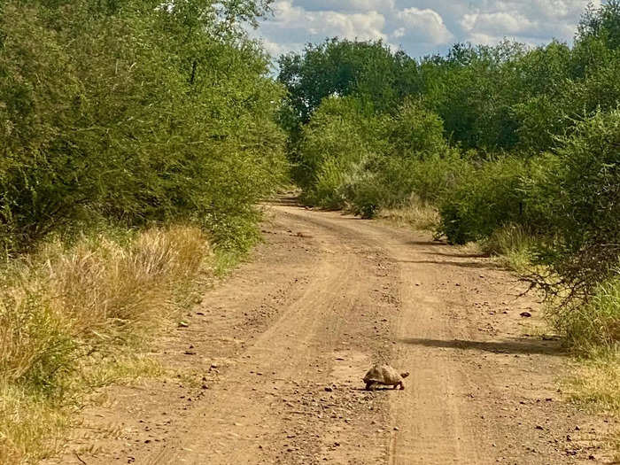 I had no idea how dusty the roads were going to be.