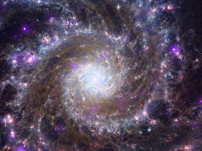 Take the bright purple spots in this galaxy, for example. Those are X-ray-emitting objects that Chandra identified.