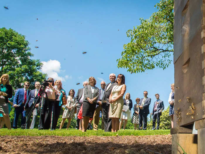 When the Pences moved into the residence, Karen Pence installed a beehive to raise awareness of the declining honeybee population.