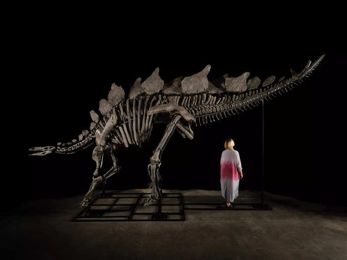 2. A $45 million Dinosaur Skeleton