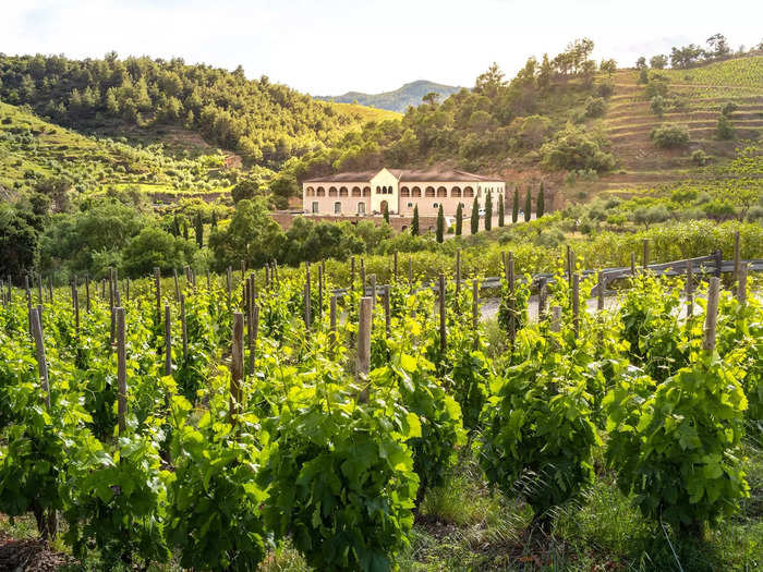 Priorat in the Catalonia region is my favorite spot in Spain.