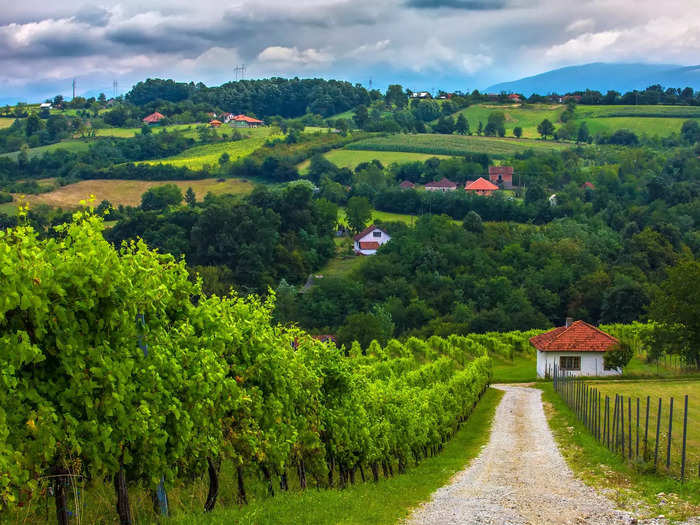 Serbia is located along the same latitude as renowned French wine regions.