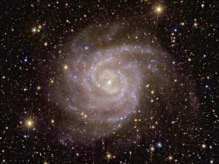 A spiral galaxy nicknamed the "Hidden Galaxy" 