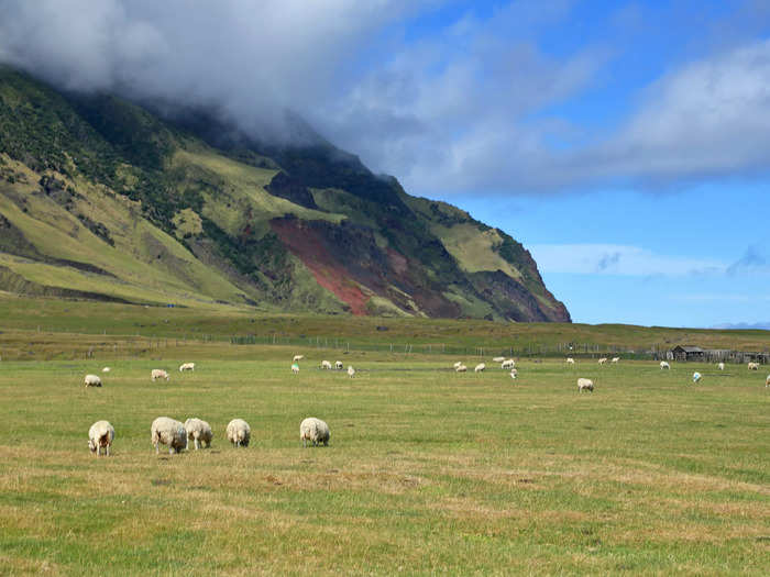 Each family can own livestock, but the government controls the numbers to prevent overgrazing of the limited land. Currently, each household is allowed to own one cow.