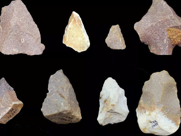 Stone tools from hundreds of thousands of years ago shed new light on India