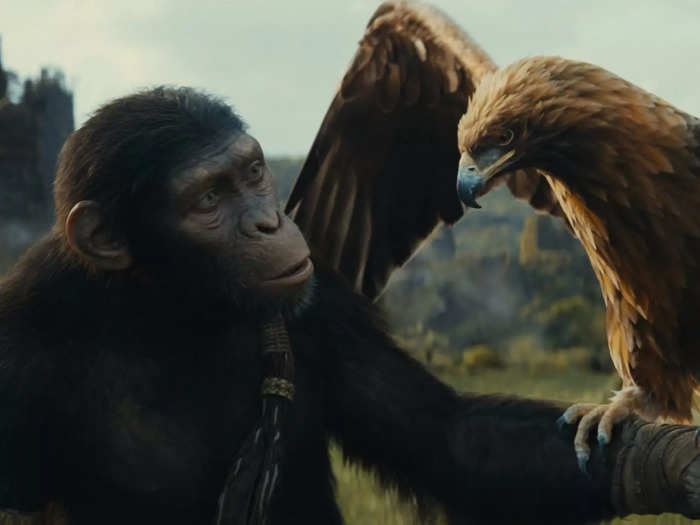 Want sci-fi action? "Kingdom of the Planet of the Apes" is streaming now.