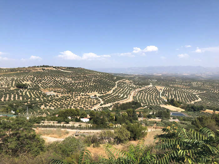 Check out the small town of Baeza in Jaén, Spain