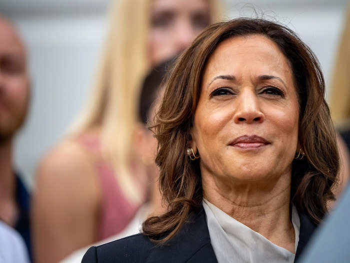 "Kamala Harris is definitely the blue lightsaber in this election," Hoffman said.