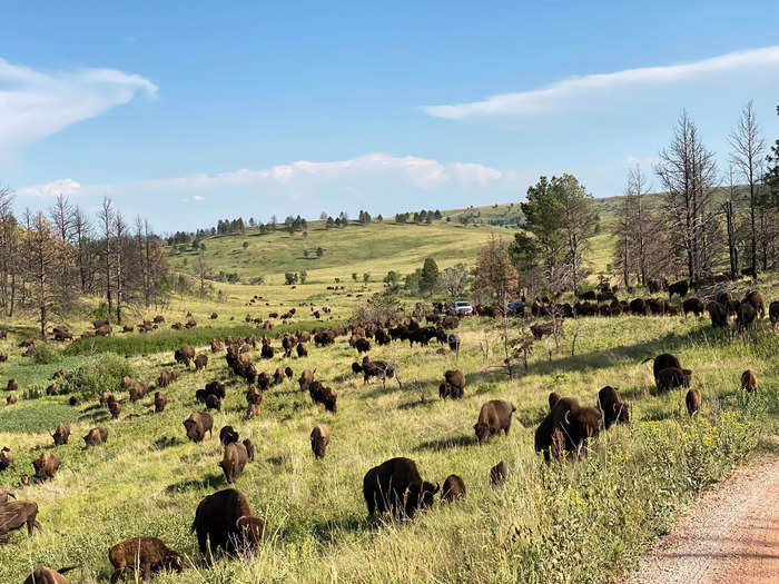 South Dakota