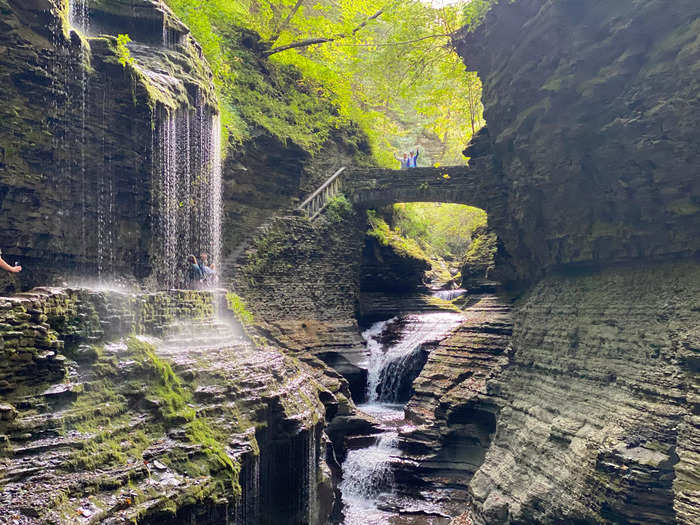 Watkins Glen is another great state park in New York.