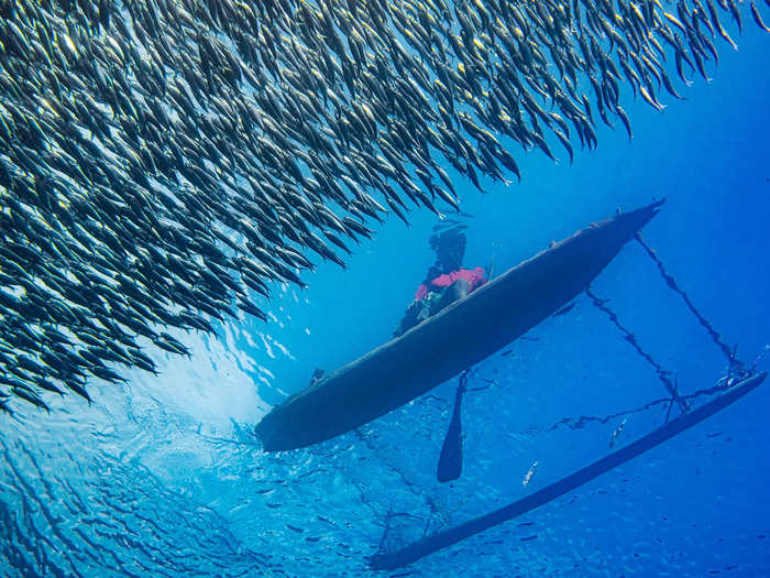 In Papua New Guinea, Noam Kortler photographed a fisherman in a traditional canoe catching sardines.