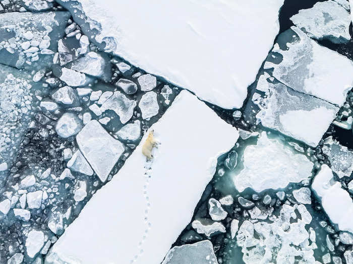 Florian Ledoux took an aerial photo of a polar bear lounging on a patch of ice in Svalbard.