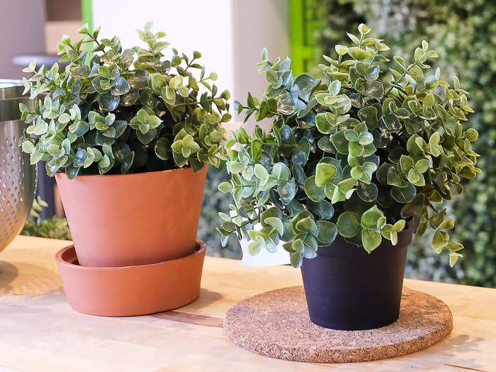 Artificial plants look kitschy and lifeless and are therefore not a good choice for any well-designed room.