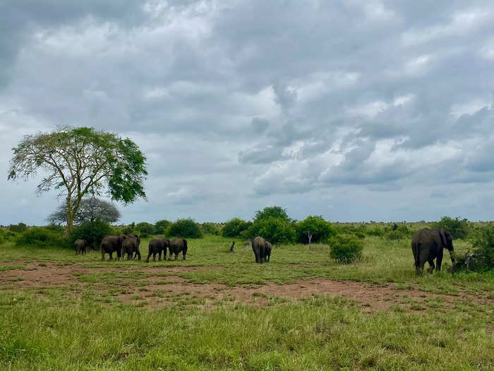 We had to drive two hours after entering the park to get to Satara Rest Camp.