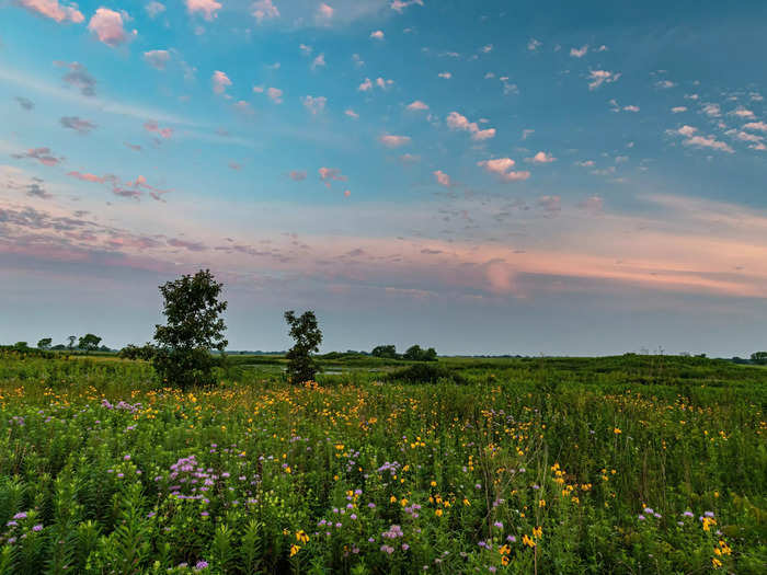 Illinois is known as the "Prairie State."