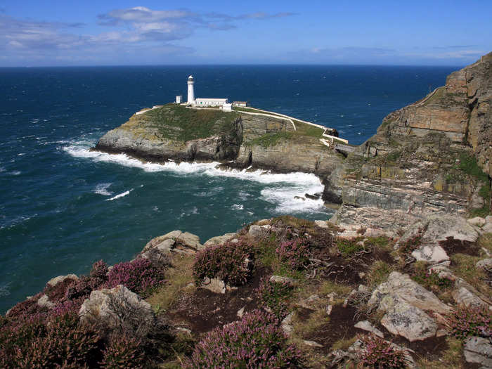 South Stack Lighthouse in the UK is the perfect destination for bird lovers.