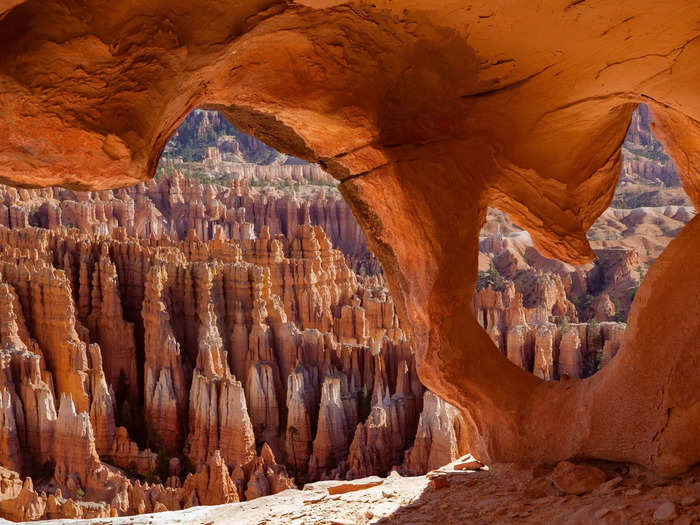 ... or Capitol Reef National Park.