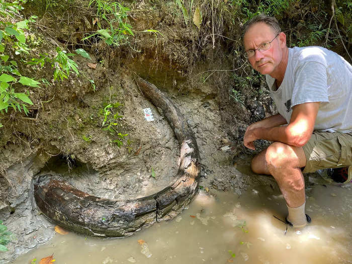 The tusk is 7 feet and weighs hundreds of pounds.