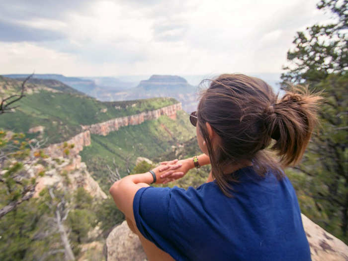 The North Rim