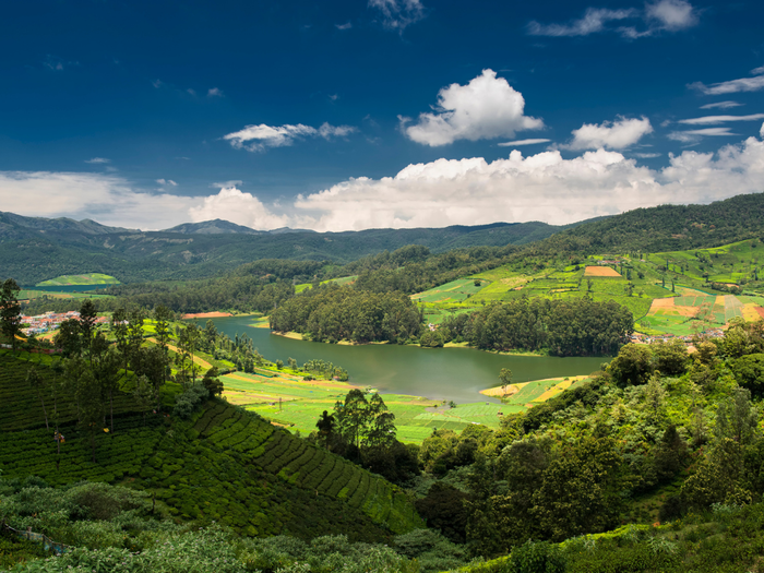 Ooty, Tamil Nadu