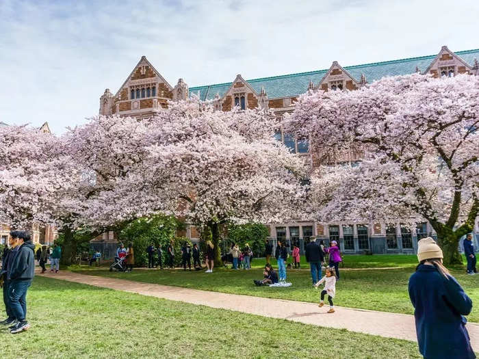 WASHINGTON: University of Washington in Seattle