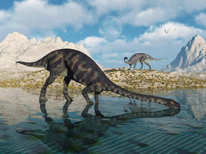 It took certain conditions for dinosaurs to leave fossilized footprints.