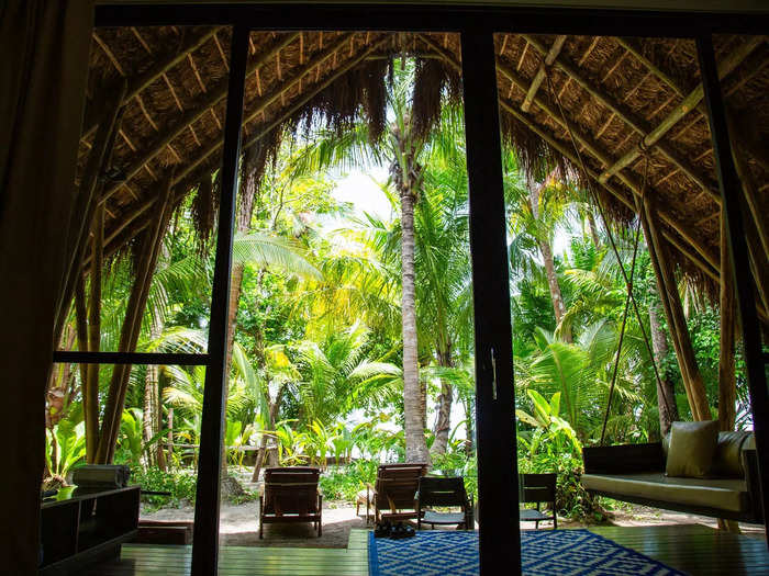 From the bed and couch, I could look through the floor-to-ceiling windows showcasing a vibrant green jungle. 