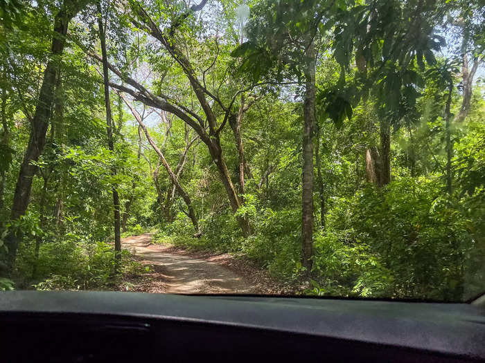 Then, we hopped in a car for a short ride through the jungle. 