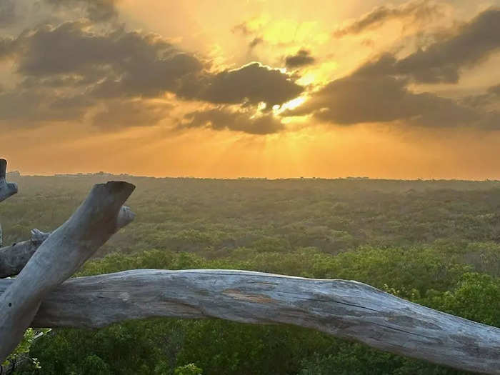 The rooftop offered a 360-degree view of the jungle and the sea, which was undeniably stunning.