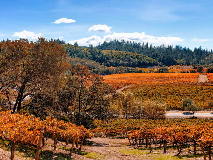 California wine country hits differently in the fall. 