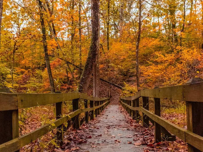 With fall around the corner, warm, autumnal scents are key. 