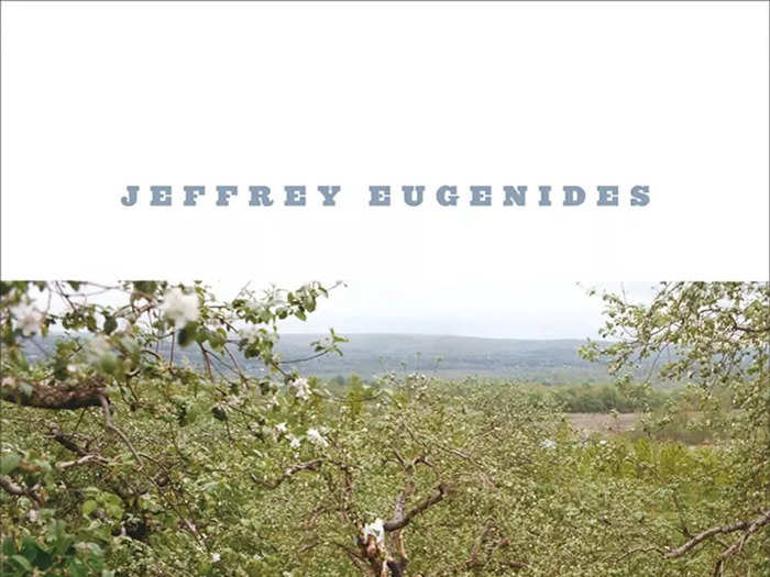 MICHIGAN: "The Virgin Suicides" by Jeffrey Eugenides