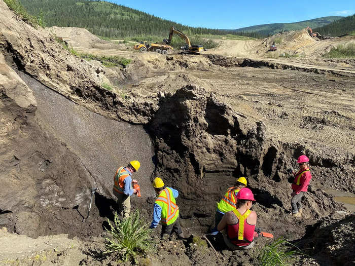 Scientists can also look for DNA traces in the ancient permafrost itself.