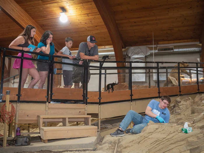 Visitors get an up-close look at how the mammoths died.