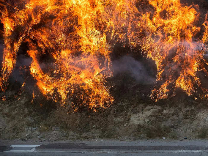 The Black Friday bushfires consumed Victoria, Australia.