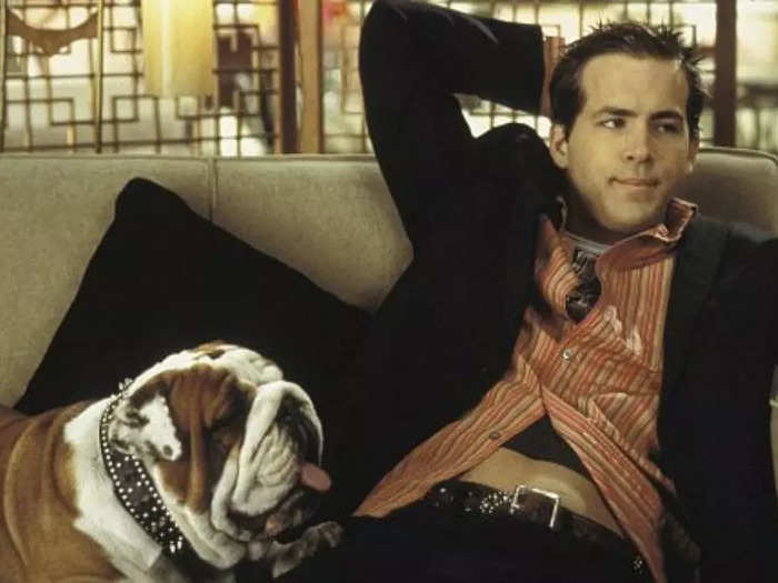 Reynolds was Van Wilder in "National Lampoon