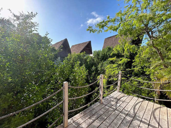 We went straight to the huge balcony with a view of the jungle cenote. 