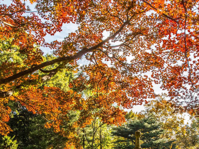 The Japanese-style garden was designed by landscape architect Shogo Myaida in 1957.